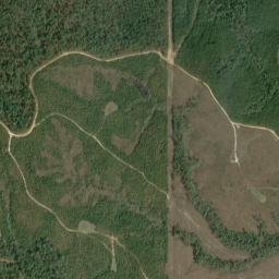 Pineola Alabama High Resolution Satellite Map