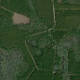 Ware County map(satellite map)