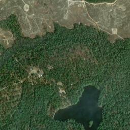 Scoutshire Woods Alabama High Resolution Satellite Map