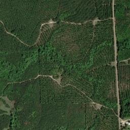 Highway 111, Evans, LA 70639, USA High Resolution Satellite Map