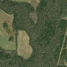 Sealy Springs Alabama High Resolution Satellite Map