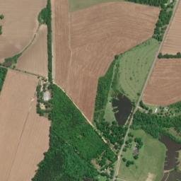 Still Pond Road, Florala, AL 36442, USA High Resolution Satellite Map