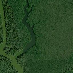 Rice Creek Landing Alabama High Resolution Satellite Map