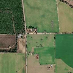 Lucy Alabama High Resolution Satellite Map