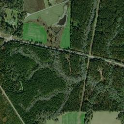 1625-1699 Highway 13, De Soto National Forest High Resolution Satellite Map