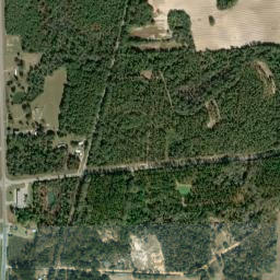 Rambo Florida High Resolution Satellite Map