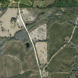 Highnote Alabama High Resolution Satellite Map