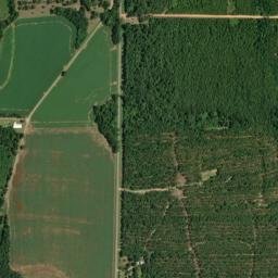 McLellan Florida High Resolution Satellite Map
