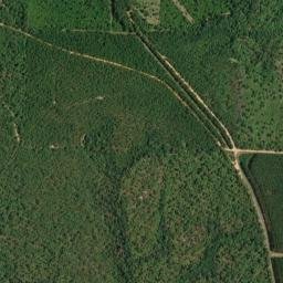 Belandville Florida High Resolution Satellite Map