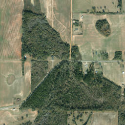 Browntown Florida High Resolution Satellite Map