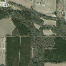 Wynnlum Florida High Resolution Satellite Map