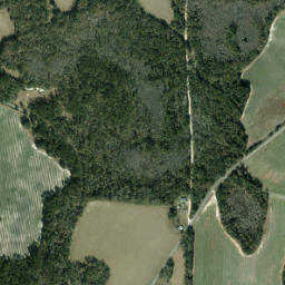 Ellaville Florida High Resolution Satellite Map