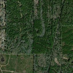 Salco Alabama High Resolution Satellite Map