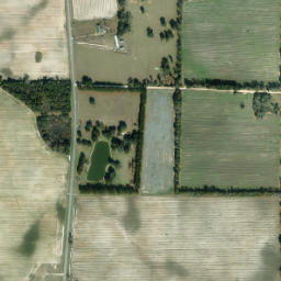 Ellis Church Florida High Resolution Satellite Map