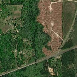 Texas 63, Jasper, TX 75951, USA High Resolution Satellite Map