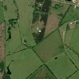 Farm to Market 230, Trinity, TX 75862, USA High Resolution Satellite Map