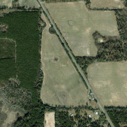 Hornsville Florida High Resolution Satellite Map