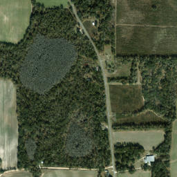 Ellis Florida High Resolution Satellite Map