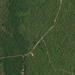 Simmons Crossing Florida High Resolution Satellite Map