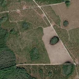 Clinch County map(satellite map)