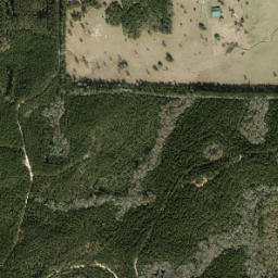 Leonia Florida High Resolution Satellite Map