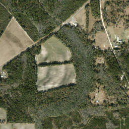 Izagora Florida High Resolution Satellite Map