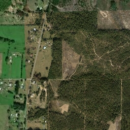 Phillipsville Alabama High Resolution Satellite Map