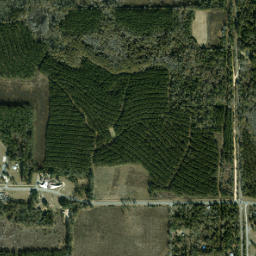 Jacobs Florida High Resolution Satellite Map