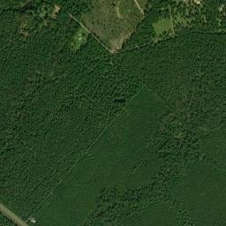 County Road 1022, Newton, TX 75966 High Resolution Satellite Map