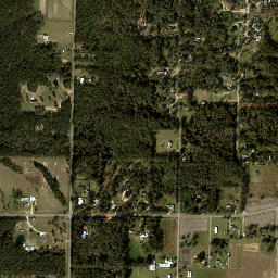 Walnut Hill Florida High Resolution Satellite Map