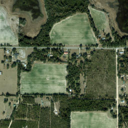 Lovedale Florida High Resolution Satellite Map
