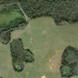 Waddells Mill Florida High Resolution Satellite Map