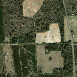 Haynes Florida High Resolution Satellite Map