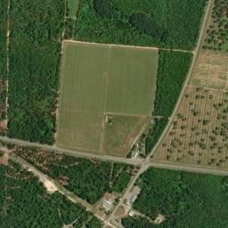 Munson Florida High Resolution Satellite Map