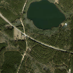 Arrant Settlement Florida High Resolution Satellite Map