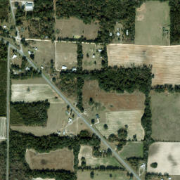 Two Egg Florida High Resolution Satellite Map