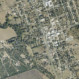 Florence map(satellite map)
