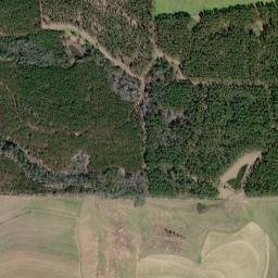 Ealum Florida High Resolution Satellite Map