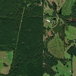 Old Camp Road, Poplarville, MS 39470, USA High Resolution Satellite Map