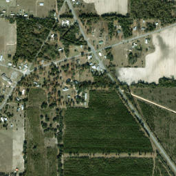 Dellwood Florida High Resolution Satellite Map