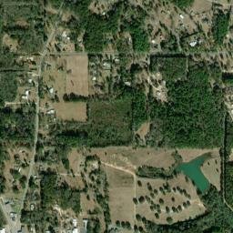 Lott Alabama High Resolution Satellite Map