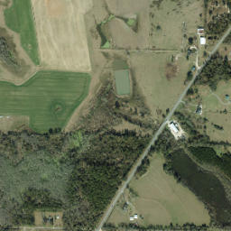 Bahoma Florida High Resolution Satellite Map