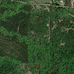Polk County map(satellite map)