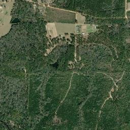 Dorcas Florida High Resolution Satellite Map