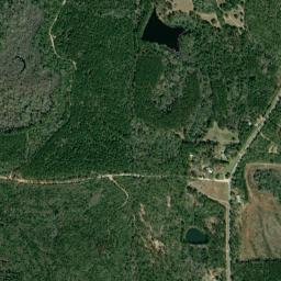 Pond Creek Florida High Resolution Satellite Map