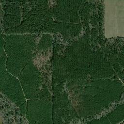 Newton County map(satellite map)