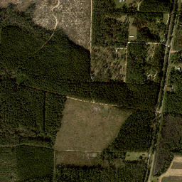 McKinnon Florida High Resolution Satellite Map