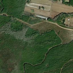Charlton County map(satellite map)