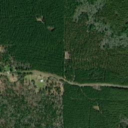 Tyler County map(satellite map)