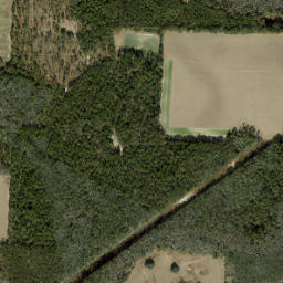 Bayou Crossing Florida High Resolution Satellite Map